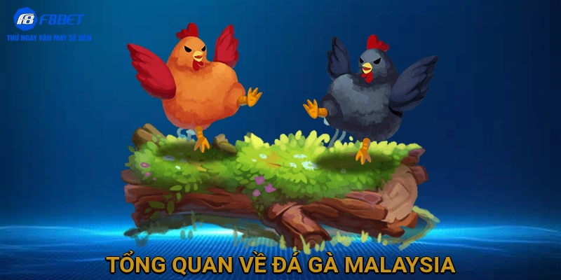 Tổng Quan Về Đá Gà Malaysia